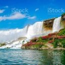 "메기의 추억 / 죠지 존슨의 슬픈 사랑이야기 이미지