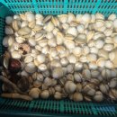 동광로1길 33-4 | 33년간 가본 펜션 중 가장 좋았던 태안 감성 펜션 "데얼스테이" 내돈내산 솔직후기