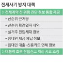 주식회사 틈도시건축사사무소 | 전입신고 즉시 대항력, 전세사기의 마지막 틈을 막다