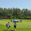 새마을로1R-2 이미지