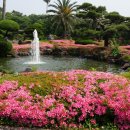 (주)삼영관광 일출랜드 이미지