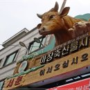 마장동 축산시장 한우 품질이 높은 자연축산 후기