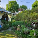 파르데스 이미지