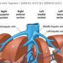2020년 나의 키워드 - 다이어트, 부동산