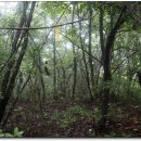 성송초등학교 이미지