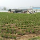 구미농장 이미지