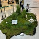 숲중앙어린이집 | 주말 16개월 아기랑 용인 어린이상상의숲 다녀온 후기!