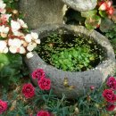 가람농원 이미지