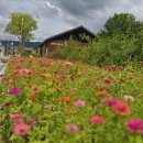 선그릇건축사사무소 | 논산 가볼만한곳｜연산문화창고·연산역 급수탑 ｜ 쌀을 재던 창고가 그림을 걸었습니다 ｜ MANMIN...