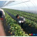 대흥초 병설유치원 이미지