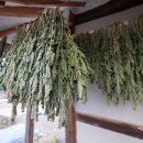 대우상사 이미지