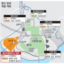 노른자위 이미지