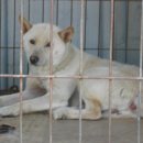 보화1로1 이미지