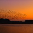 군무 2022-1 이미지