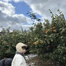 경미농장 이미지