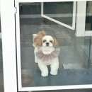 쁘리에숑 이미지