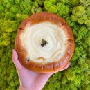 빵선생 모악점 이미지