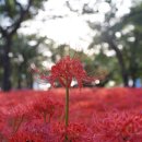 그가 여가,남해 이미지