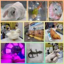 이솝동물병원 이미지