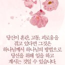 플랜마스터 이미지