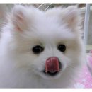 샵선경 네이버블로그