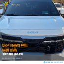 동남부분정비공장 | 아산 자동차 덴트 복원 비용 셀토스차량 입고 후기