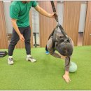 대사동천 이미지