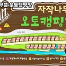 자작나무뜰 오토캠핑장 이미지