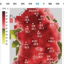 템피아 이미지