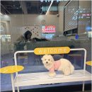 그루밍124