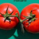 흥덕중앙로 5 이미지