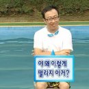 시드씨(주) | 감옥에서 누가 돌아왔게~?