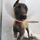 유동물의료센터 이미지