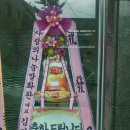브랑누아주