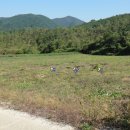 전재원공인중개사사무소 이미지