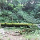 방아다리길 이미지