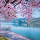 고향의 봄 이미지