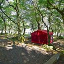 한라산국립공원관음사지구야영장 이미지