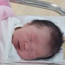 디데이의원 | 드디어 디데이,,! 축복맘의 성남금빛여성의원에서의 제왕 1일차 후기