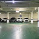 돈특별시 봉평신조막국수 이미지