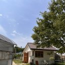 (주)풀그린 | 대구 팔공산 감성숙소 글램핑 캄비오캠핑장 내돈내산 후기