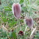 원신농장 이미지