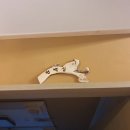 비자림힐링펜션 이미지