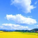 주식회사 정다운 익산공장 이미지