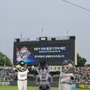 29 | 잠실야구장 매진 경기 폴리볼 야구 직관 후기ㅣ04/29 삼성 vs 두산