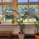 내일은 도서관 과학왕[우주편] 이미지