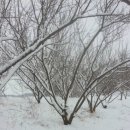 민기농장 이미지