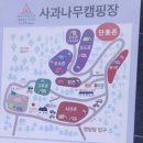 가평사과나무캠핑장 이미지