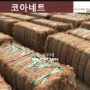 인출농장 이미지