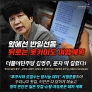 힘 '김영주 부의장, 오염수 괴담 퍼 나르더니 일본 여행 단꿈' 이미지